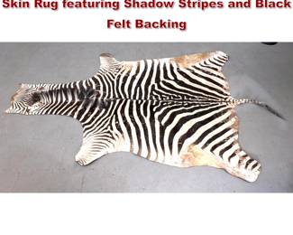 Lot 251 Large Full Size Taxidermy Zebra Skin Rug featuring Shadow Stripes and Black Felt Backing