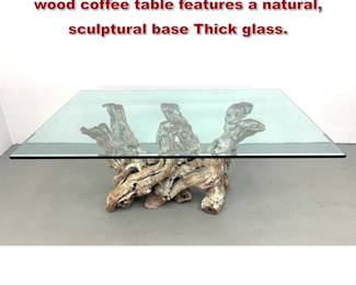 Lot 163 vintage coastal cypress root burl wood coffee table features a natural, sculptural base Thick glass.