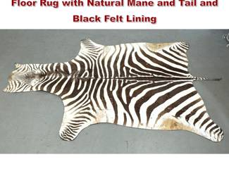 Lot 253 Zebra Taxidermy Full Body Hide Floor Rug with Natural Mane and Tail and Black Felt Lining