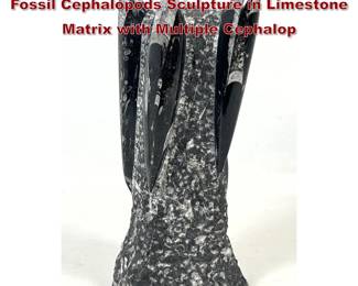 Lot 1064 Polished Moroccan Orthoceras Fossil Cephalopods Sculpture in Limestone Matrix with Multiple Cephalop
