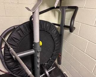 Exercise Trampoline — Please ask about this item during the sale, as it is stored in a separate location.