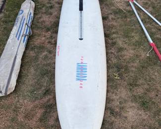 Windsurfing board and sail! 