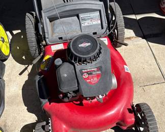 Briggs & Stratton 