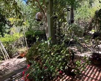Assorted Patio Planters, Potted Plants, and Garden Ornaments third image