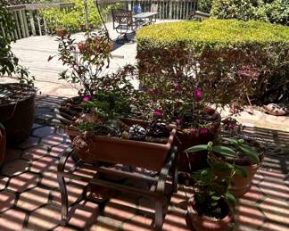 Assorted Patio Planters, Potted Plants, and Garden Ornaments fourth image