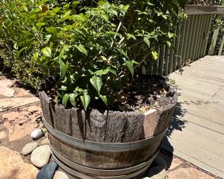 Vintage Reclaimed Oak Wine Barrel Planter second image