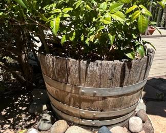 Vintage Reclaimed Oak Wine Barrel Planter