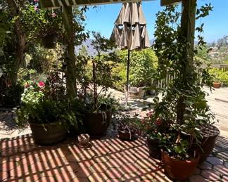 Assorted Patio Planters, Potted Plants, and Garden Ornaments