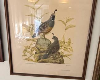 California Quail Art Prints  