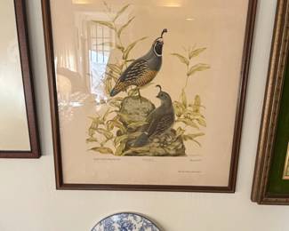 Vintage California Quail Print by Ray Harm