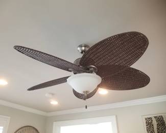 Lighted ceiling fan