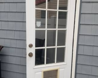 Entry door with pet door