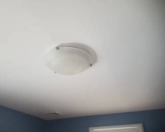 Light fixture
