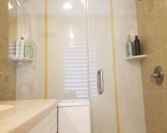 Glass shower enclosure & door