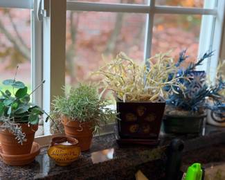 Live plants