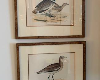 Avian wall art