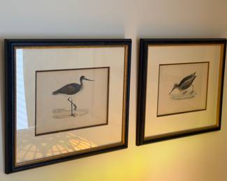 Numbered avian prints wall art
