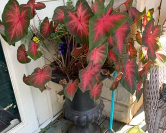 #169	Black Composite w/ Live Plants 21"	 $60.00 			 #170	Black Composite w/ Live Plants 21"	 $60.00 			