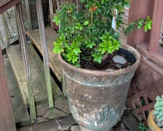 #217	Large Plastic Urn 28" w/ Shub (Mountain Fire)	 $40.00 			
