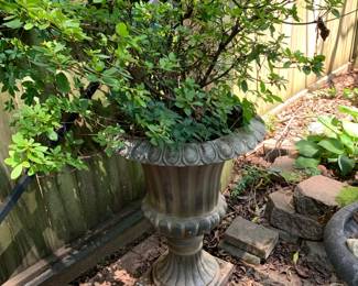 #227	Large Plastic Planter 28" W/ Azelia	 $45.00 			