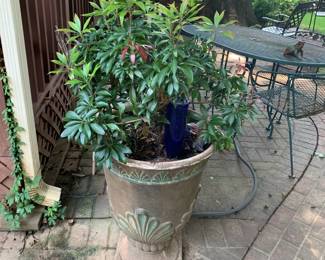 #232	Plastic Pot 28" w/ Tree	 $40.00 			