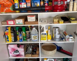 Outdoor / garage chemicals / products, toro leaf blower