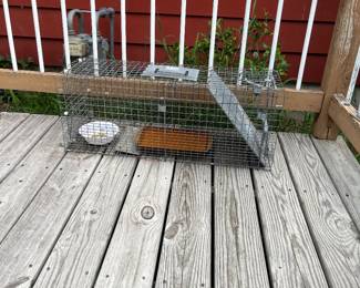 Animal traps