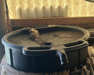 oil pan