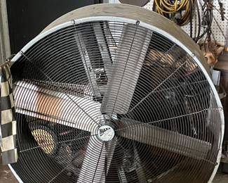 fans