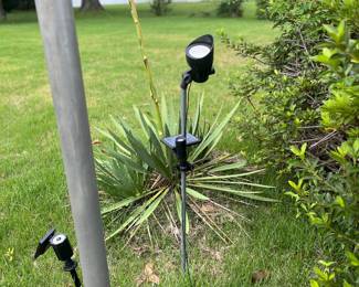 Solar Lighting