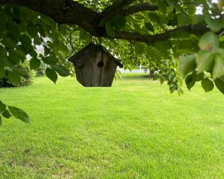 Bird houses