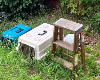 Pet Carriers & step ladder