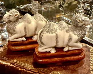 Large Netsuke camels on boxwood stands