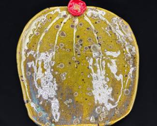 "Cactus" Pottery Platter