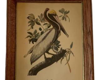 647 - Framed Print 14"x11" (Description): A framed print measuring 14 inches by 11  inches.