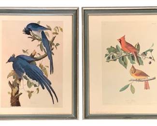 642 - 2 Framed Prints 15.25"x12.25" (Description): A two-piece set of framed prints featuring  colorful bird illustrations. Each print is  presented in a coordinating frame. Measures  15 1/4" x 12.25".