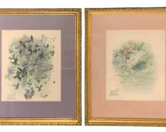 656 - 2 Framed Floral Prints 22"x18" (Description): Two framed floral prints featuring botanical  subjects. Each piece measures 22 inches by 18  inches and is presented in a decorative  gilded frame with coordinating matting.