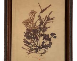 48 - Framed Dried/Pressed  Flowers 14.5"x12.5" (Description): A framed arrangement of pressed flowers  displayed in a wooden frame with dark  accents. Measures 14.5 inches by 12.5 inches.