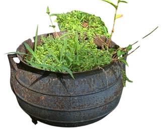 19 - Cast Iron Pot Used as Planter - 10"x16" - as is (Description): Cast iron pot repurposed as a planter, sold  as is. Measures 10 inches by 16 inches.   Cracked and has chip in rim.