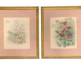 659 - 2 Framed Floral Prints 22"x18" (Description): A pair of framed floral prints, each  measuring 22 inches by 18 inches. The prints  are presented in ornate gilt frames with pink  matting.