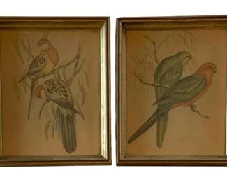 645 - 2 Framed Bird Prints 7.205"x5.25" (Description): 2 framed prints featuring birds. Each print  is presented in a matching frame. Measures  7.25" x 5.25".