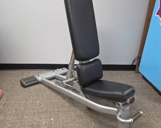 Life Fitness Adjustable Workout Bench