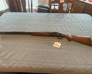 i0040CBG1 t