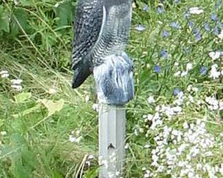 Outdoor owl