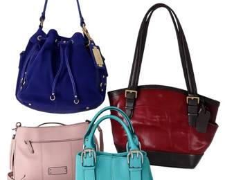 Tignanello Handbag Collection  Leather Tote, Crossbody, Satchel  Suede Bucket Bag
