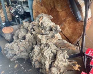 Driftwood and Tree Trunk