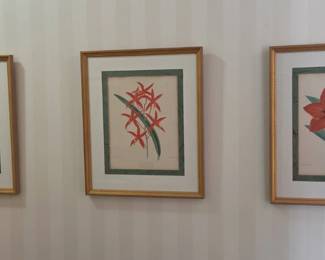 Three Framed Botanical Reproduction Prints