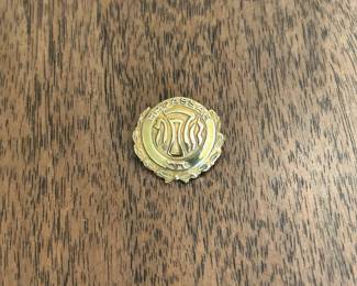 10k Gold Pin