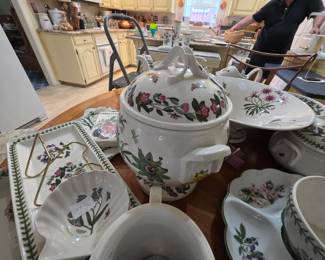 Huge collection of Botanical Garden Portmeirion
