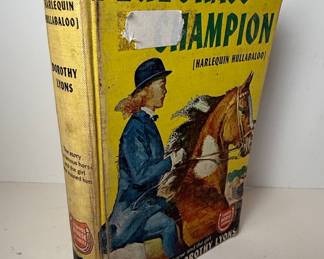 Bluegrass Champion (Harlequin Hullabaloo) by Dorothy Lyons